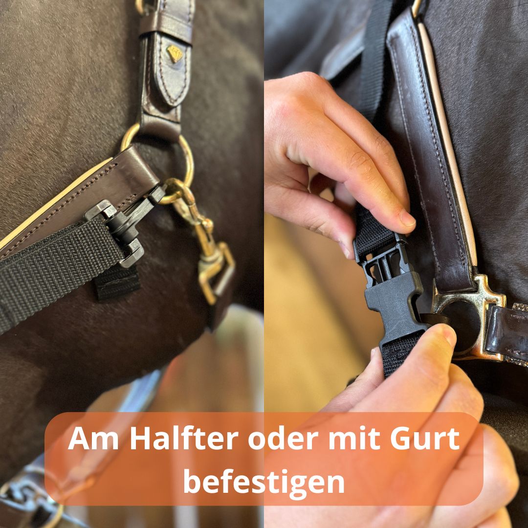 EquiBuddy Inhalationsmaske Arten der Befestigung