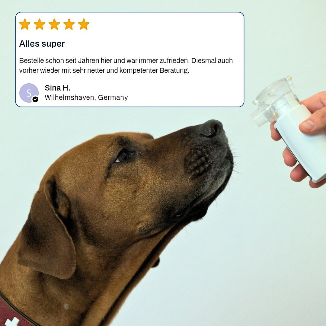 Hund inhaliert die OXYGEN Sole