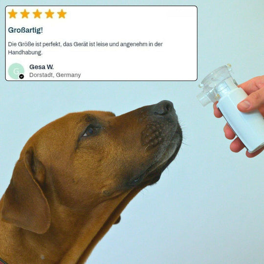 Hund inhaliert mit dem OxygenOne Taschenvernebler die OXYGEN Sole