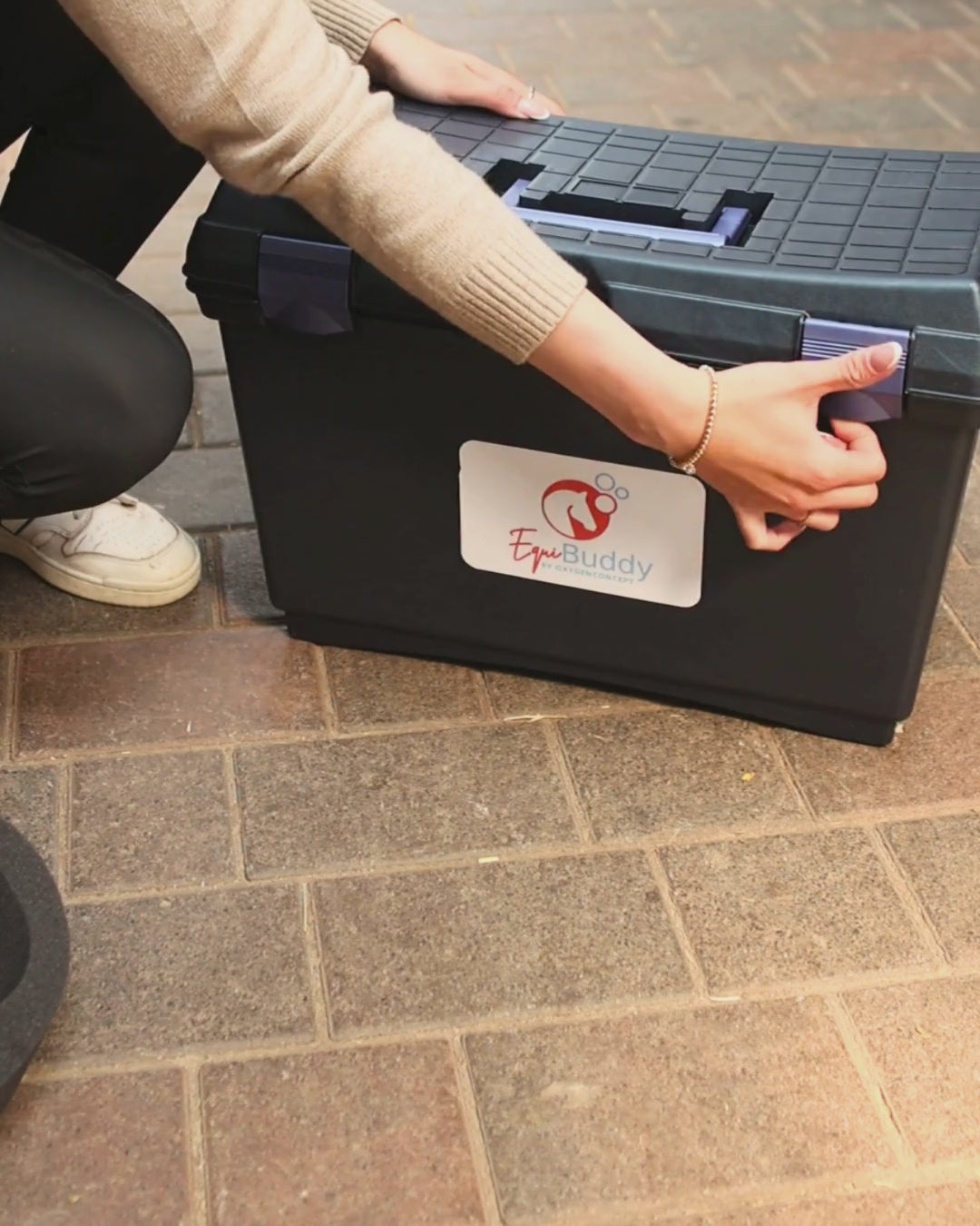 EquiBuddy® - Inhalationsmaske für Pferde (Komplettpaket)