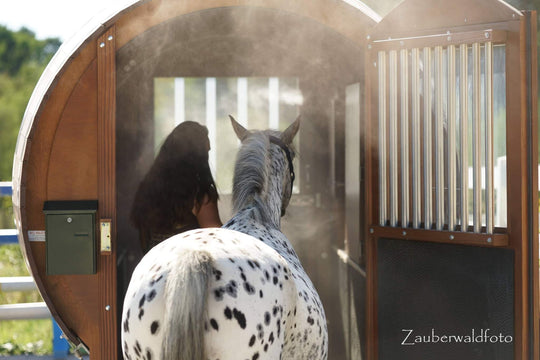 Abbildung vom Inhalationsfass für Pferde - Nahaufnahme der Front mit Pferd und Reiterin 