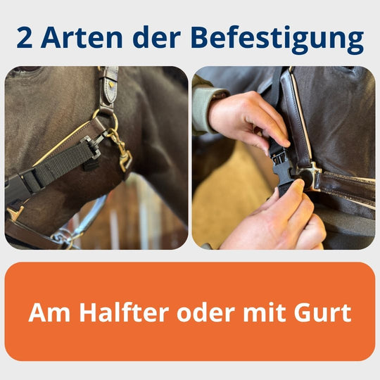 EquiBuddy Inhalationsmaske: Fokus auf das Gurtsystem und die Verschlüsse zur Befestigung.