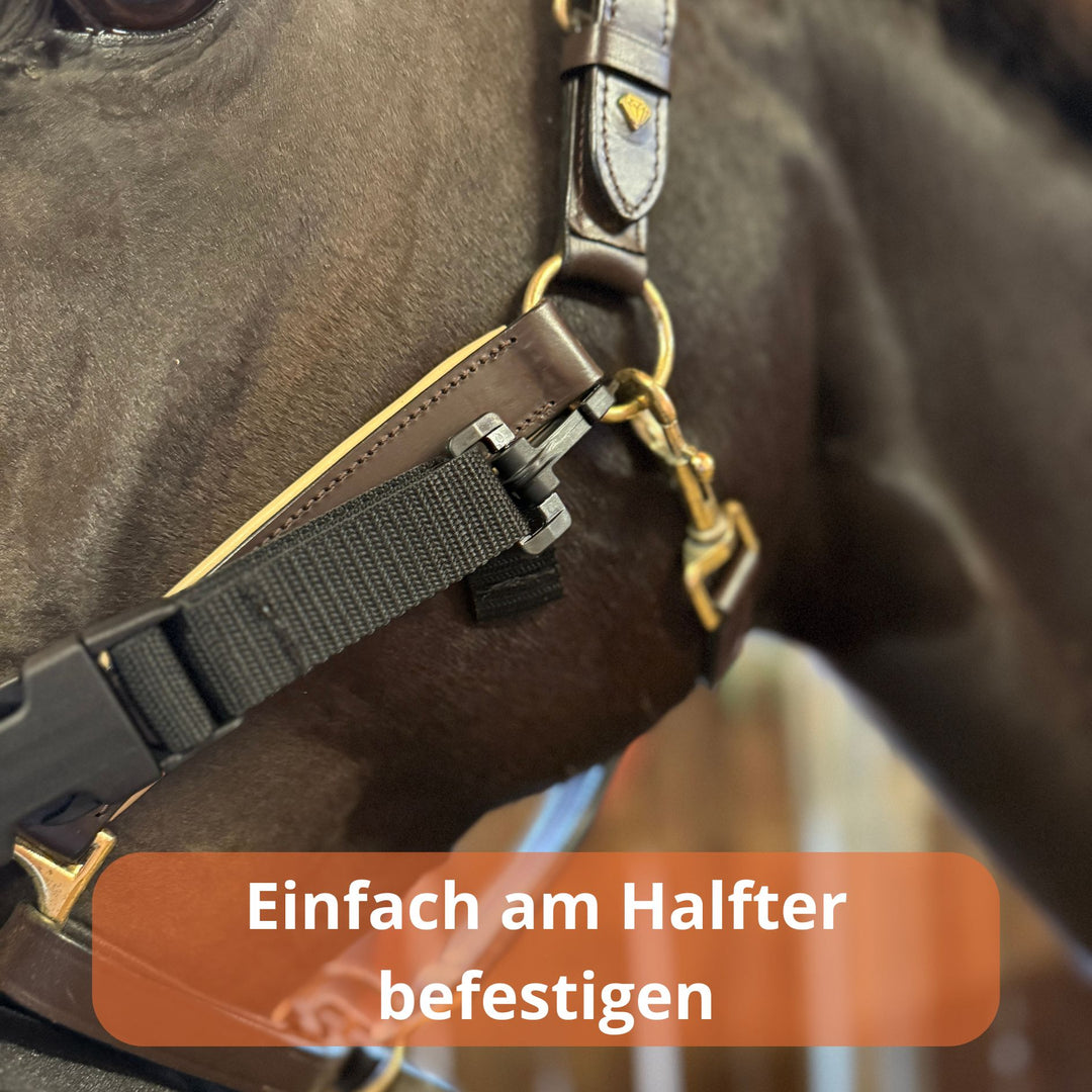 EquiBuddy® - Inhalationsmaske für Pferde (Komplettpaket)