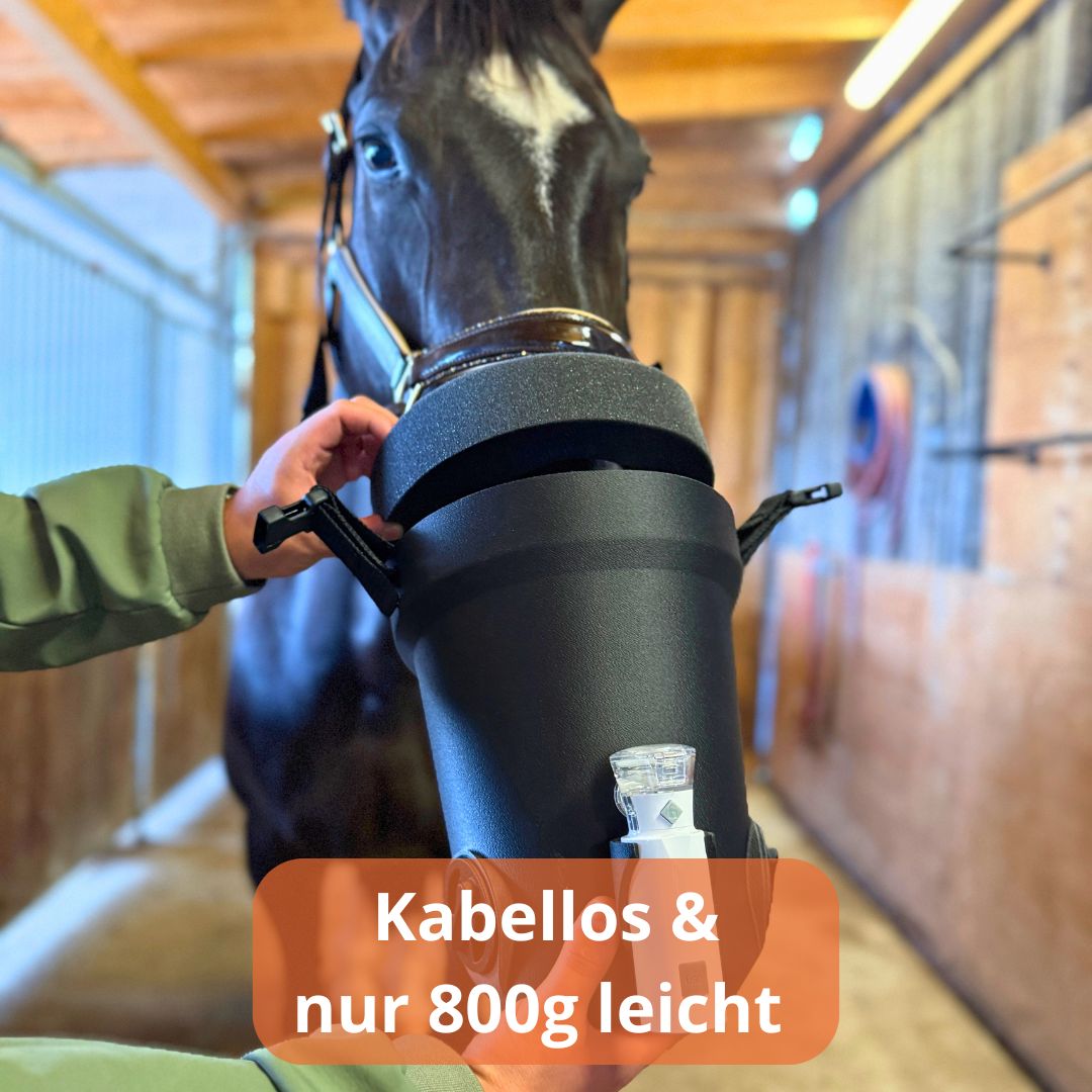 EquiBuddy Inhalationsmaske: Demonstration ihrer Leichtigkeit (ca. 650g) und des kabellosen Designs.